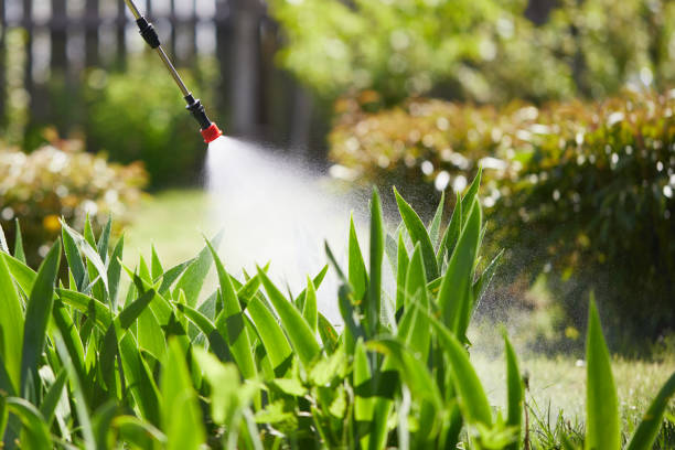 24/7 Emergency Ant Control experts in Second Mesa, AZ